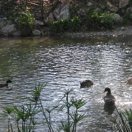 Adrasan River Hotel Kumluca Zewnętrze zdjęcie