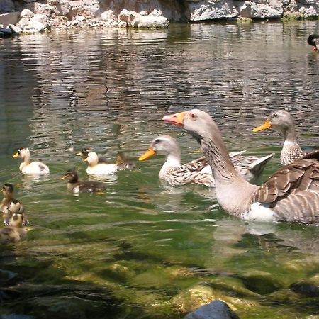 Adrasan River Hotel Kumluca Zewnętrze zdjęcie