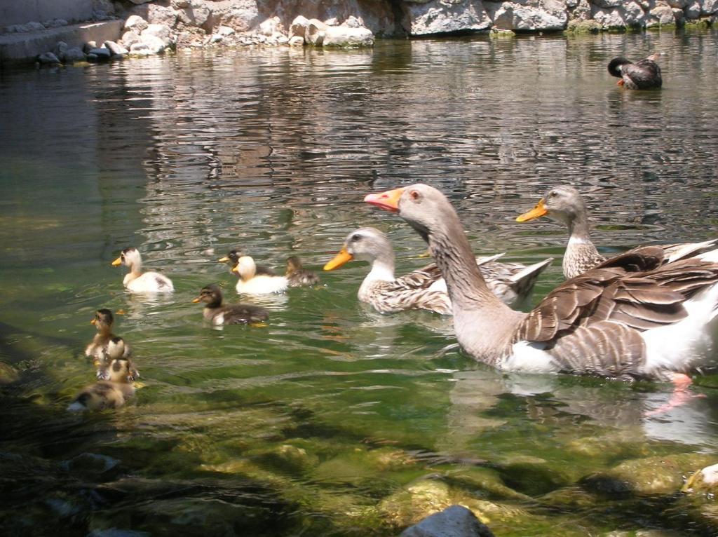 Adrasan River Hotel Kumluca Zewnętrze zdjęcie